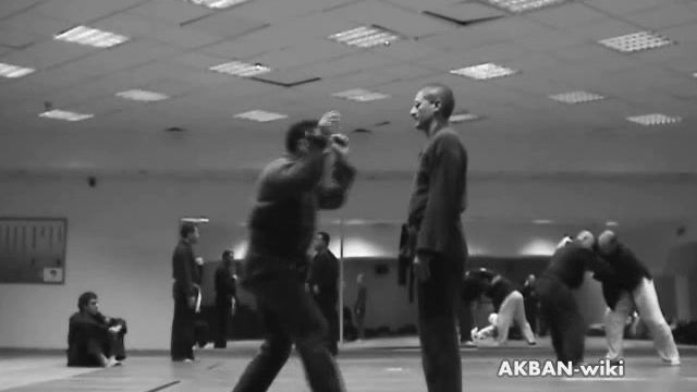 Shisen no kata, Koto ryu смотреть онлайн