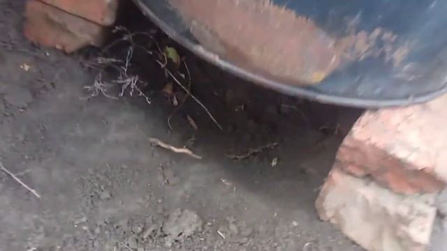 Как сделать каптильню из 200 л бочки? Горячие копчение.