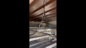 Автономный круглогодичный курятник для бройлеров радует своих хозяев! Смотрите обзор!