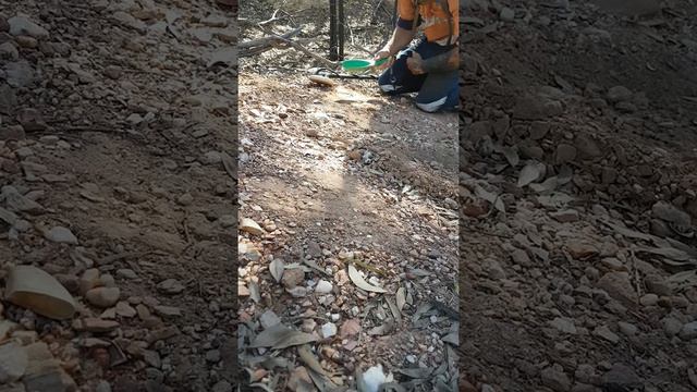 Minelab gold monster 1000 смотреть онлайн