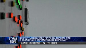 Эксперты озвучили причину, почему рис в Казахстане стремительно дорожает