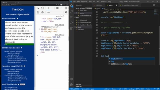 JavaScript Elements Selection  Tag Name from the DOM | Learn JavaScript