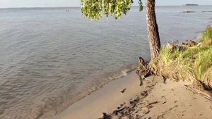 Обское водохранилище. Июль 2023