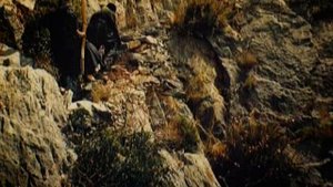 Фильм 23. О борьбе со страстями.