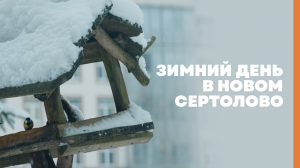 Зимний день в Новом Сертолово