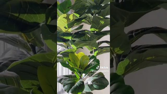 Artificial Fiddle leaf fig tree - 6 ft