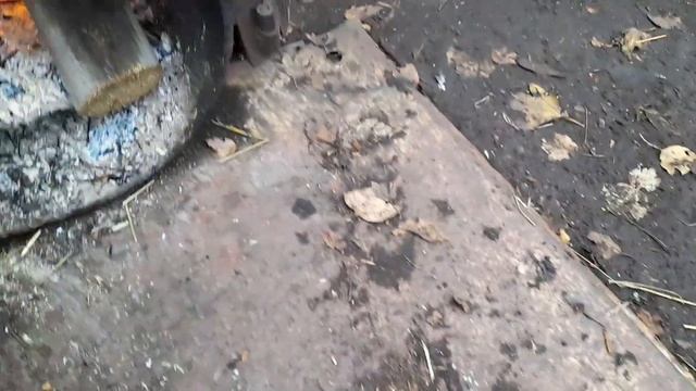 готовим кушать #свиньи #жизньвдеревне #природа #реки #лайки #отдых #домашниеживотные