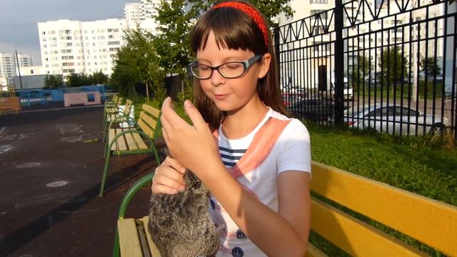 Шиншилла!!! Что это за зверёк?!! Лучший друг для детей! Мой ВЛОГ!