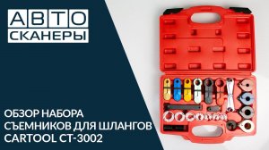 Обзор набора съемников для шлангов Cartool CT-3002