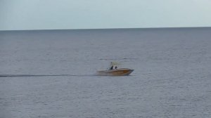 Дивноморское 2019