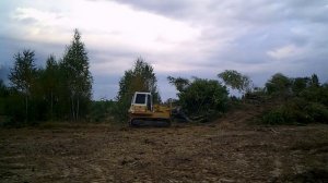 Раскорчевка заросших полей 2015 вид со стороны