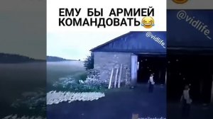 Полководец ?