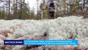 УСТАНОВЛЕНЫ ЛИЦА, КОТОРЫЕ В ПРОМЫШЛЕННЫХ МАСШТАБАХ ВЫВОЗИЛИ ЯГЕЛЬ ИЗ НАДЫМСКИХ ЛЕСОВ
.mp4