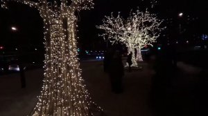 Подсветка деревьев