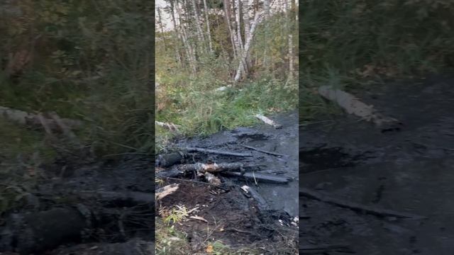 Любишь кататься - люби в лесу болотоход чинить…. #болотоход #вездеход #шишига#полныйпривод#4х4#осень смотреть онлайн