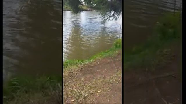 Рыбалка в Софрино смотреть онлайн