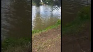 Рыбалка в Софрино