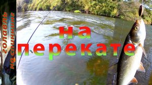 Осенняя рыбалка на перекате. Спиннинг на малой реке.
