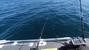 Рыбалка на камбалу Находка Японско море 28.09.2021.