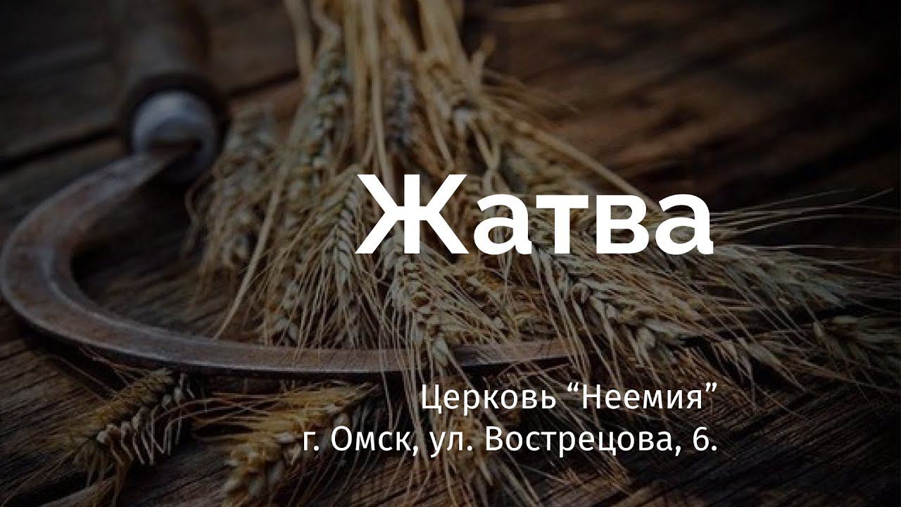 Жатва подведет всему итоги минус. Время собирать урожай. Время собирать урожай. Жатва подведет всему итоги минус. Жатва подведет всему итоги минус.