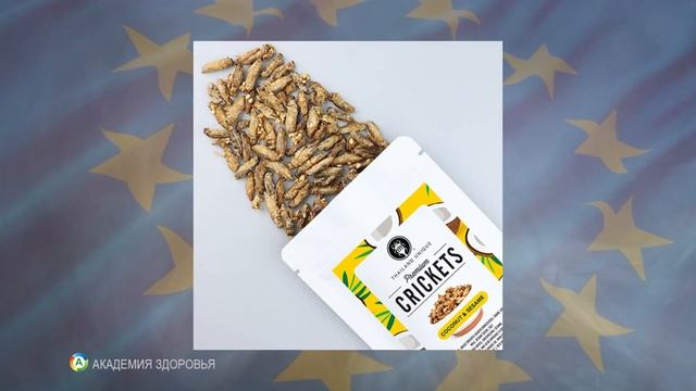 Осторожно! Насекомые уже в продуктах, помаде. Добавка Е120, Е904 — что нужно знать потребителям смотреть онлайн