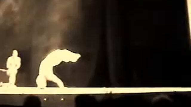 Capoeira show Roda e saltos смотреть онлайн