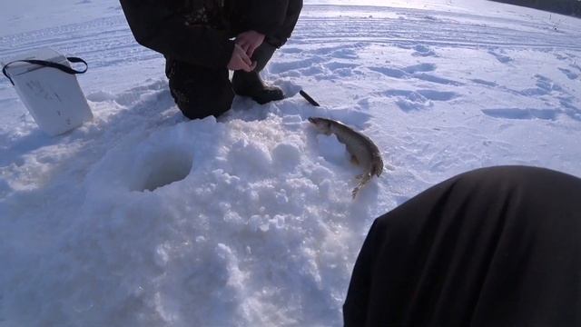 Зимняя рыбалка на Северной Сосьве.