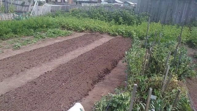 Перекопка постоянных грядок осенью, подготовка к весне