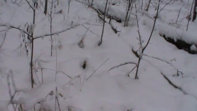 Будни трактора т 40 ам часть 2 смотреть онлайн