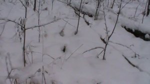 Будни трактора т 40 ам часть 2