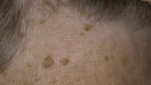 Селезнёва Елена Владимировна 2