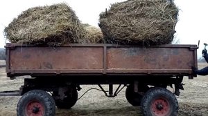 Юмз возит сено.