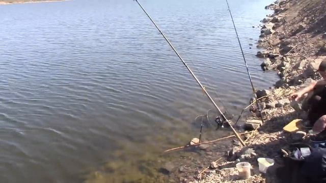 Фидерная рыбалка на карася весной 1138 км КВХ смотреть онлайн