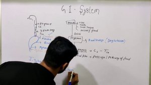 GIT System Part-02  (STOMACH)#norcet  #nursing #aiims #neet #anatomy #mbbs #stomach #gastric