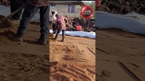 ХИМКИ. Песчаная подушка под монолитную плиту