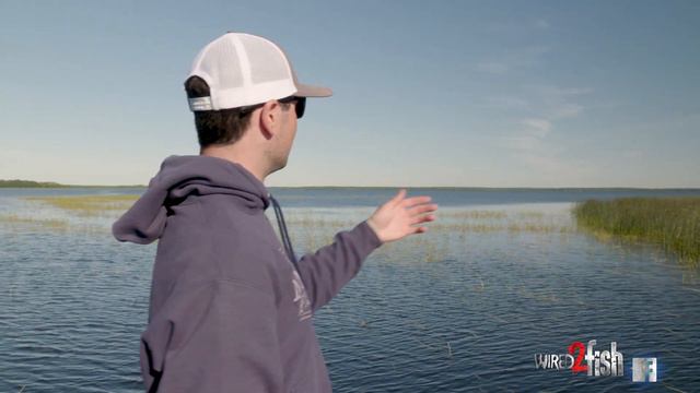 Fishing Shallow For Late Summer Bass | BUZZ Toad Beatdown смотреть онлайн