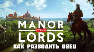 Градостроительная стратегия Manor Lords: КАК РАЗВОДИТЬ ОВЕЦ