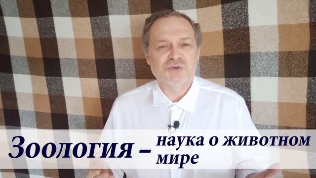Зоология - это ... (значение слова) | Проясника | Школа гениев