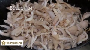 Вёшенки рецепт Без мяса. Вок. Китайская кухня. ТРАВАРТ# 0806 Животворец Андрей Протопопов