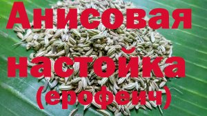 Анисовая настойка (Ерофеич)