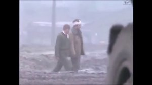 Сектор газа Туман