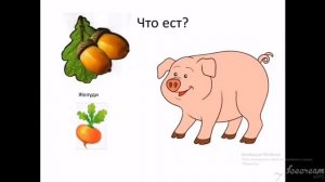 Окружающий природный мир. Тема урока: "Домашние животные"