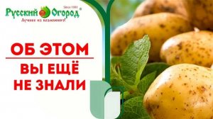 СЕНСАЦИОННАЯ НОВОСТЬ, ВЫ ДОЛЖНЫ ОБ ЭТОМ ЗНАТЬ...