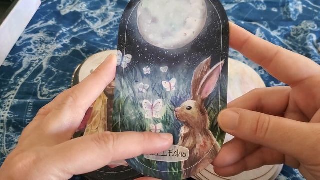 Unboxing and Chatty Flipthrough of the Wild Child Oracle смотреть онлайн