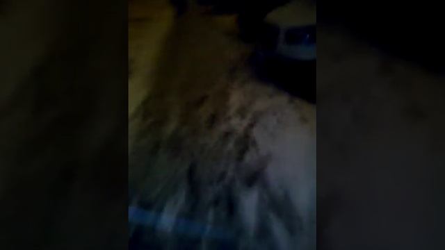 ЗИМА НАСТУПИЛА 21 ОКТЯБРЯ 2021! Выпал ПЕРВЫЙ СНЕГ! Что за прикол? смотреть онлайн