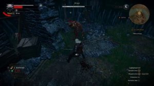 ВЕДЬМАК 3 ДИКАЯ ОХОТА | THE WITCHER 3 Wild Hunt | УБИТЬ ИГОШУ СЫНА БОРОНА