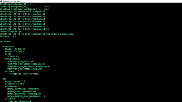 docker compose смотреть онлайн
