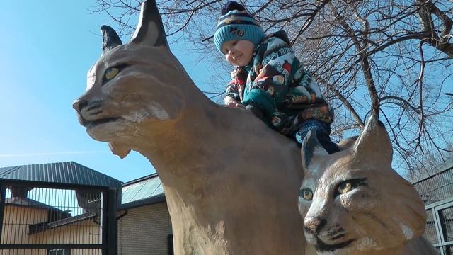 Идём в Зоопарк Животные для Детей Кормим Верблюда | Going to the Zoo Animals Kids Feeding the Camel смотреть онлайн