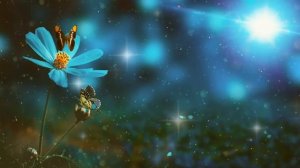 ? БОГ ГОВОРИТ: МНЕ НУЖНО ПОГОВОРИТЬ С ТОБОЙ ПРЯМО СЕЙЧАС!✨ Разговор с Богом сегодня...