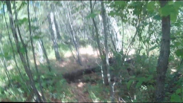 Сентябрьский Хард Новый Оскол смотреть онлайн